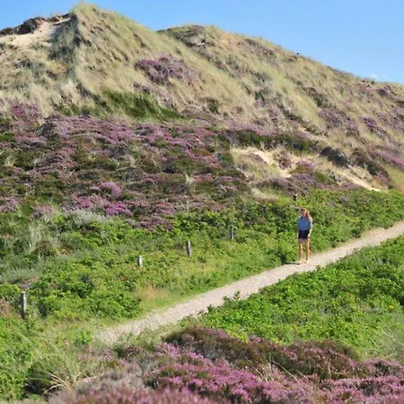 Enenhoog-strandlaeufer Kampen