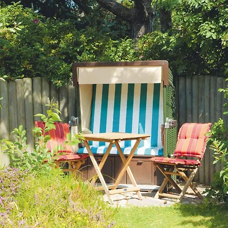 Enenhoog-strandlaeufer *