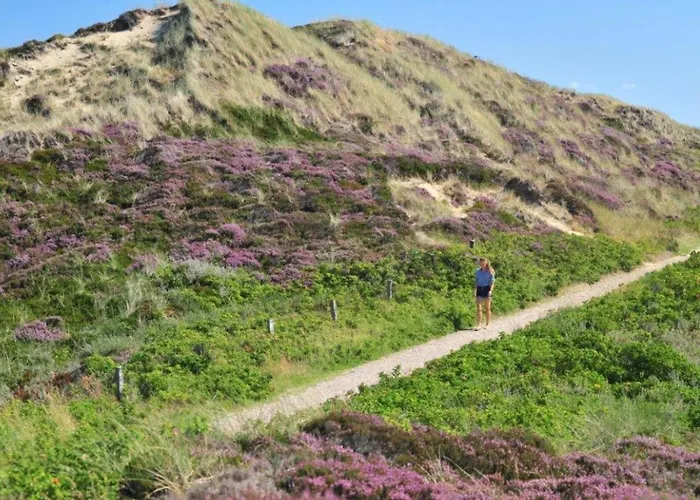 Enenhoog-strandlaeufer Kampen